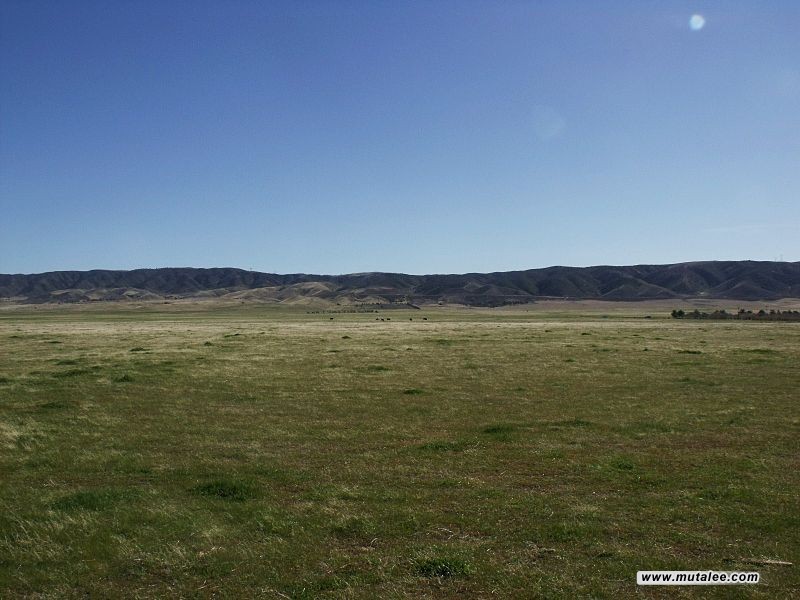 post-image